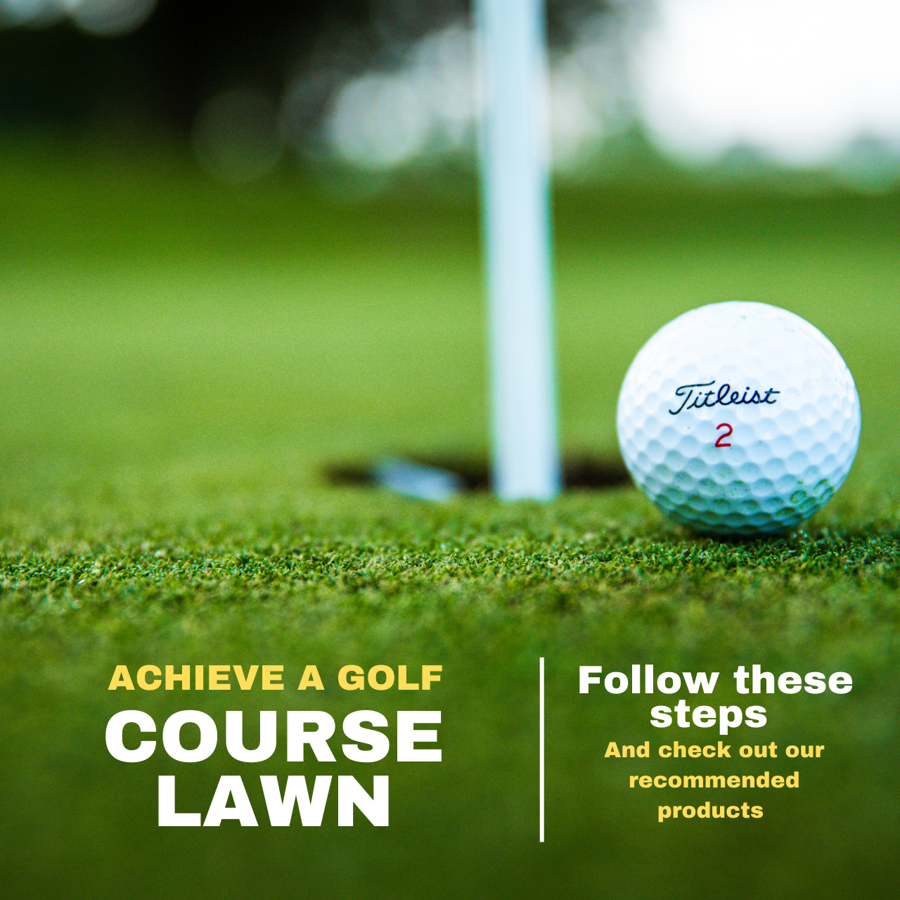 Achieving a Green Golf Course Lawn