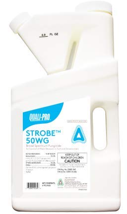 Strobe 50WG (Heritage) Fungicide