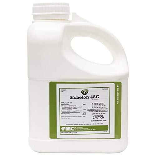 Echelon 4SC Herbicide - Gallon