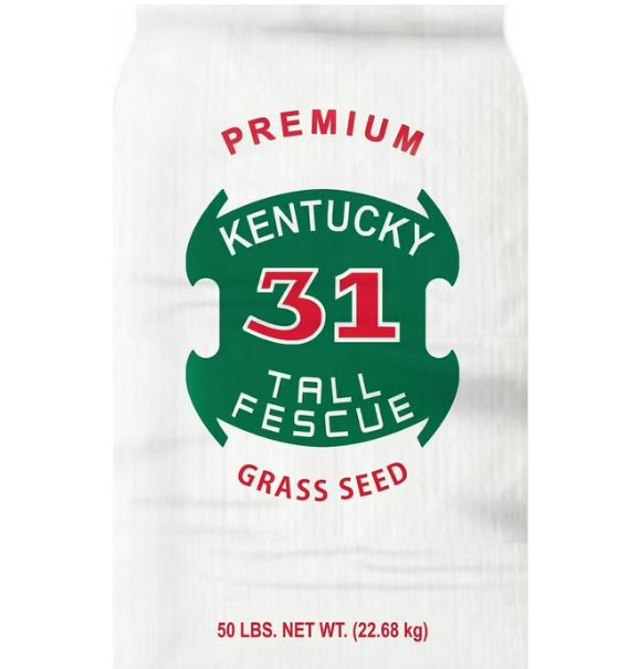 The Dirty Gardener Kentucky 31 Tall Fescue Lawn Grass - 50 Pounds